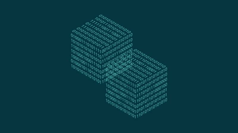 兴安县信创改造：网络应用开发流程标准化的核心路径与实践